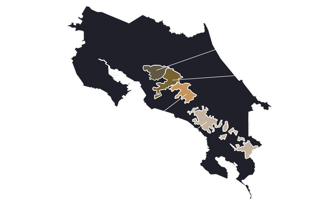 Costa Rica Cafe Vida Roasted Coffee