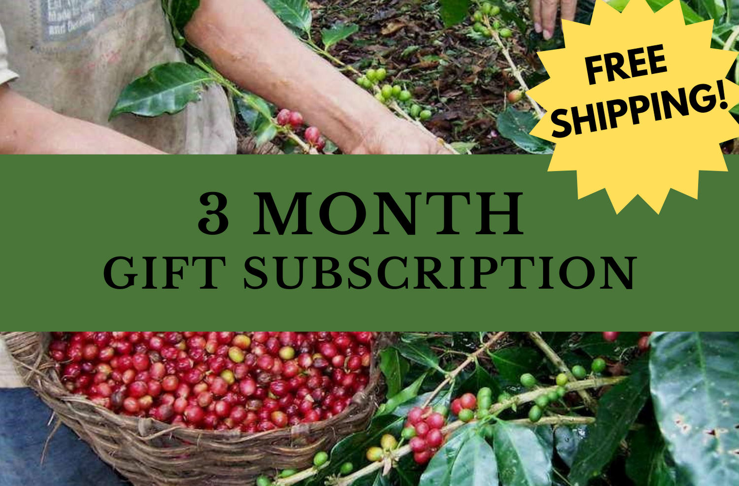 3 Month Coffee Gift Subscription