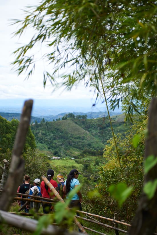 Colombia Specialty Coffee – El Tambo Women's Cooperative | Light Medium Roast | Double Fermented