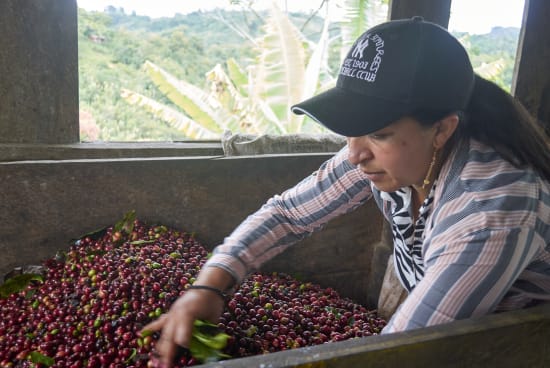 Colombia Specialty Coffee – El Tambo Women's Cooperative | Light Medium Roast | Double Fermented