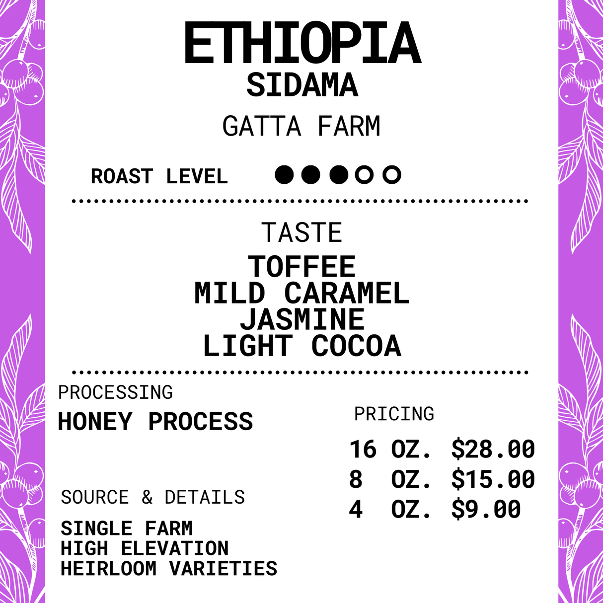 Ethiopia Sidama - Gatta Farm - Honey Process