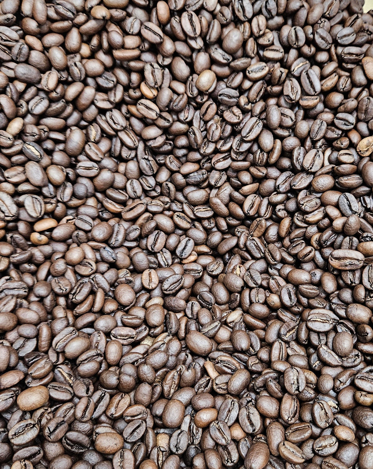 Close-up of roasted coffee beans