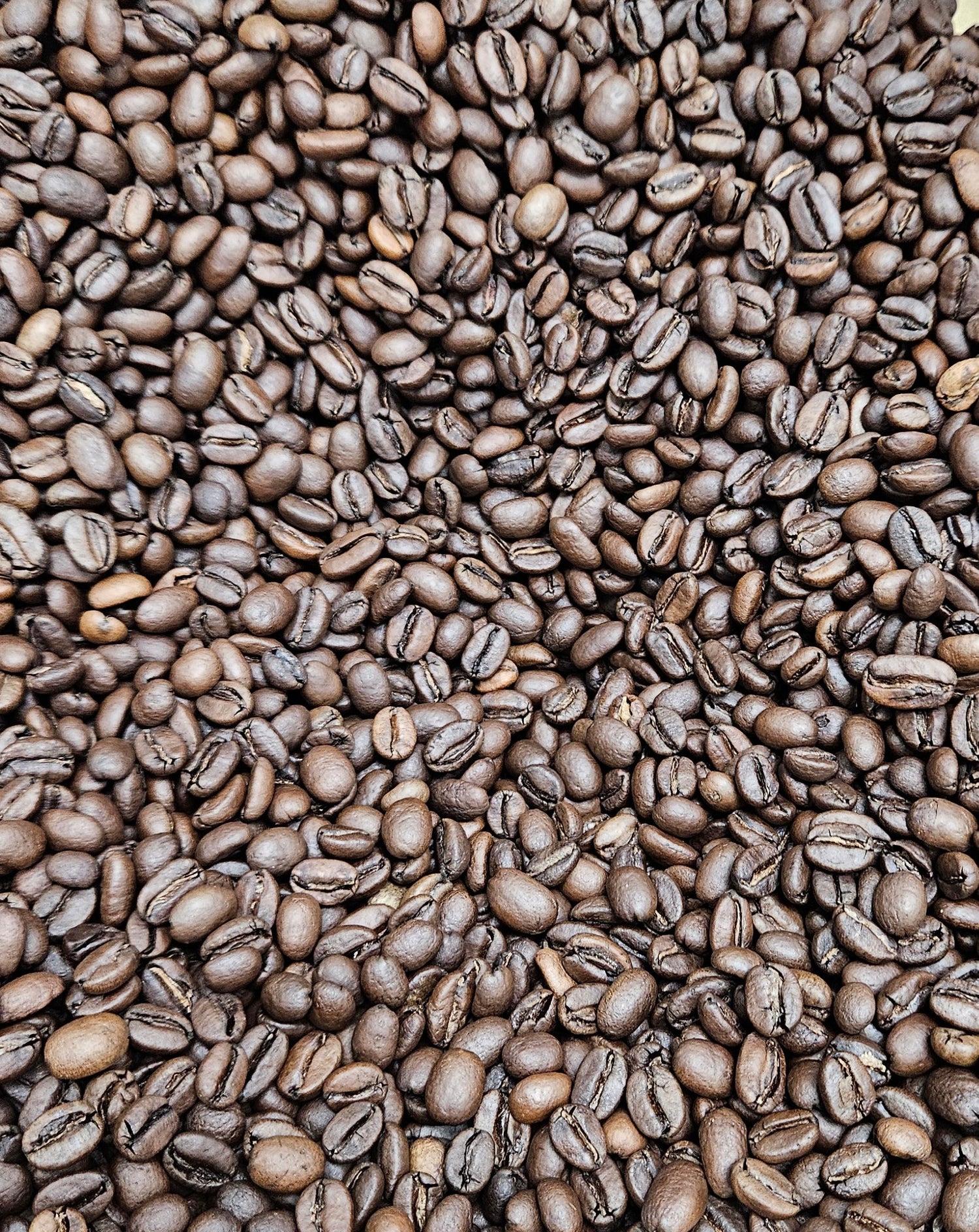 Close-up of roasted coffee beans