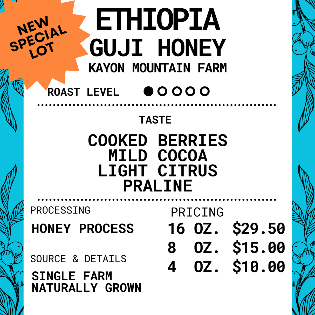 Ethiopia Guji - Honey Process - Kayon Mountain Roasted Coffee