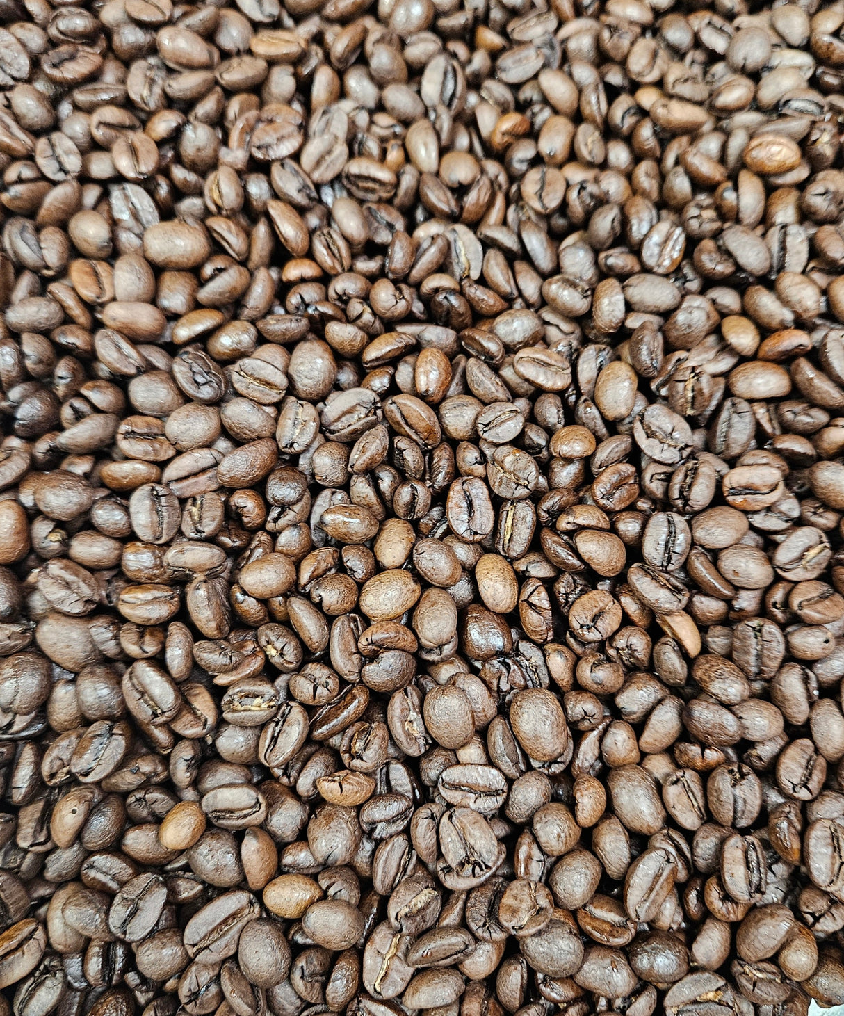 Mexico Nayarit Anaerobic Natural Process Roasted Coffee