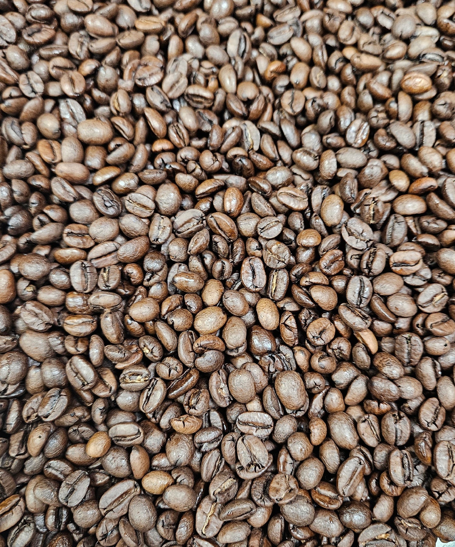 Mexico Nayarit Anaerobic Natural Process Roasted Coffee