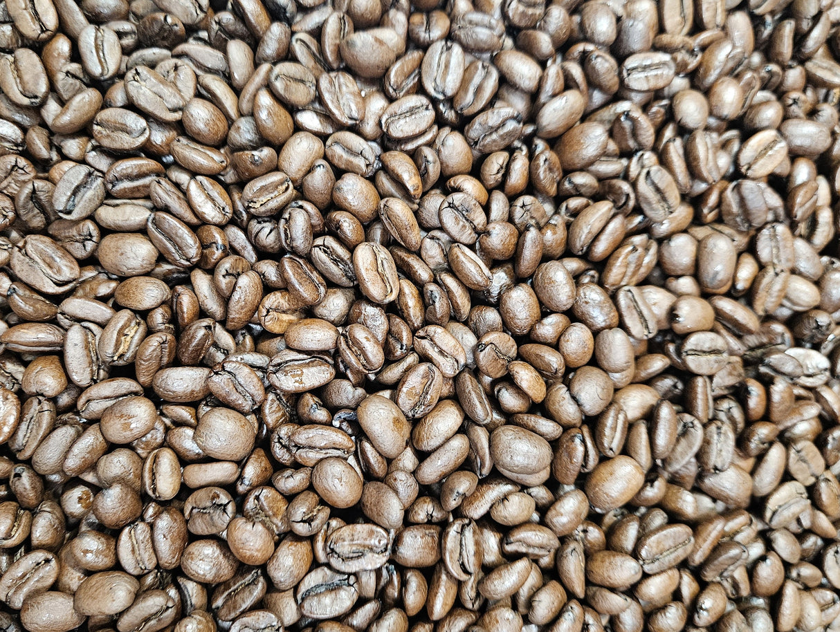 Nicaragua Honey Processed Geisha La Bastilla Roasted Coffee