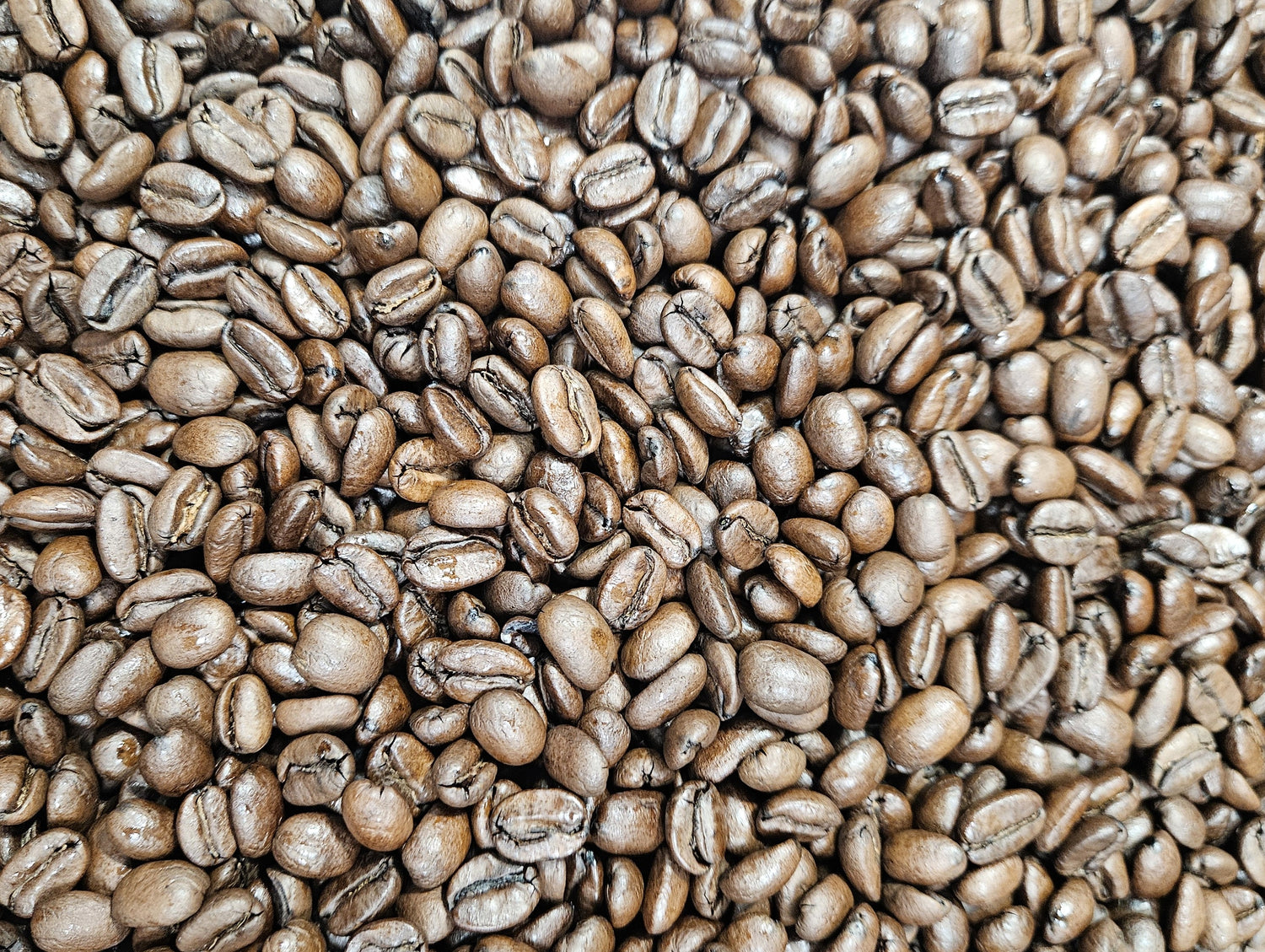Nicaragua Honey Processed Geisha La Bastilla Roasted Coffee