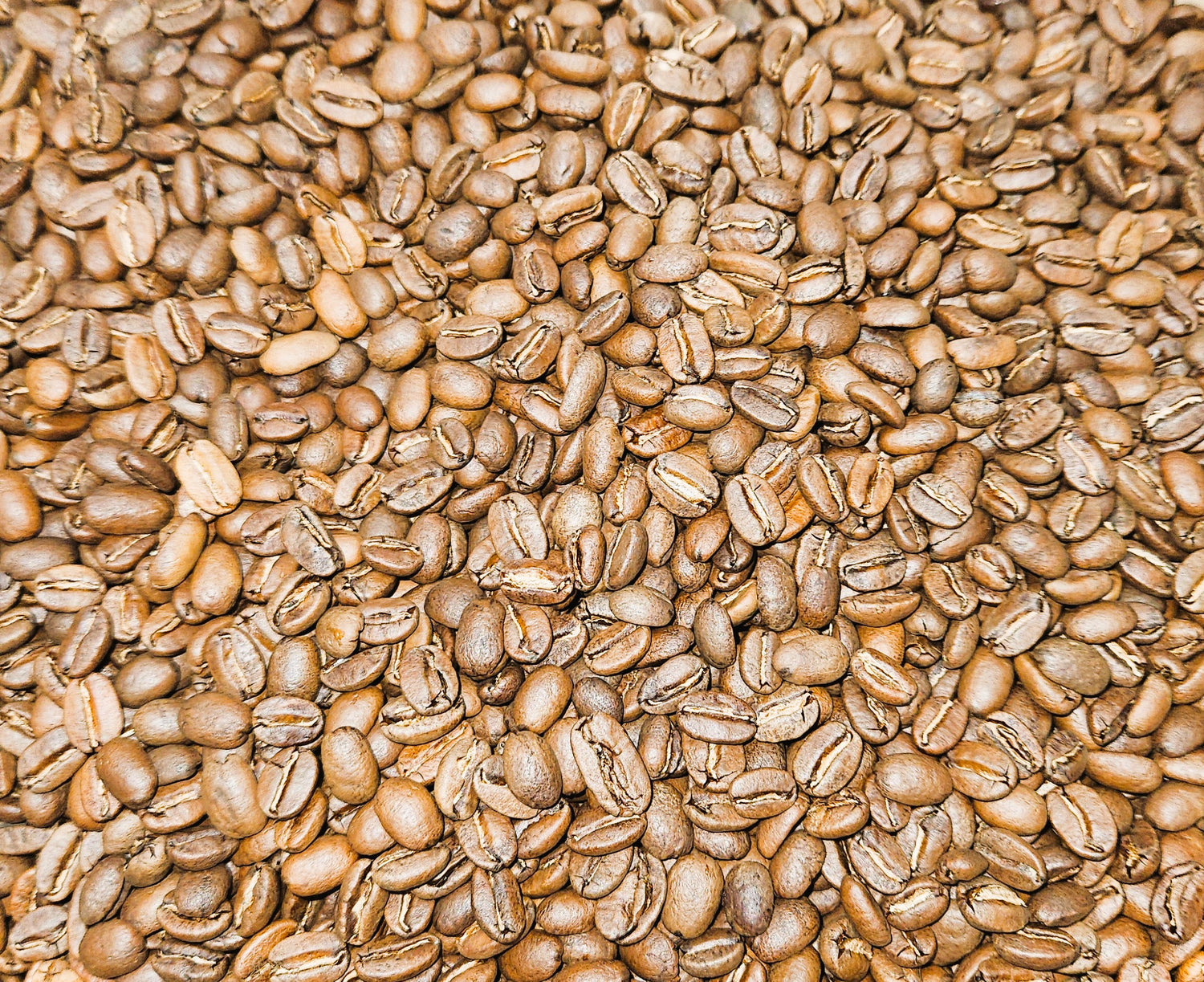 Papua New Guinea - Namugo Forest