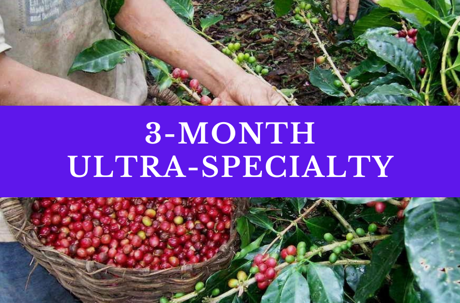 3 Month Ultra-Specialty Coffee Gift Subscription