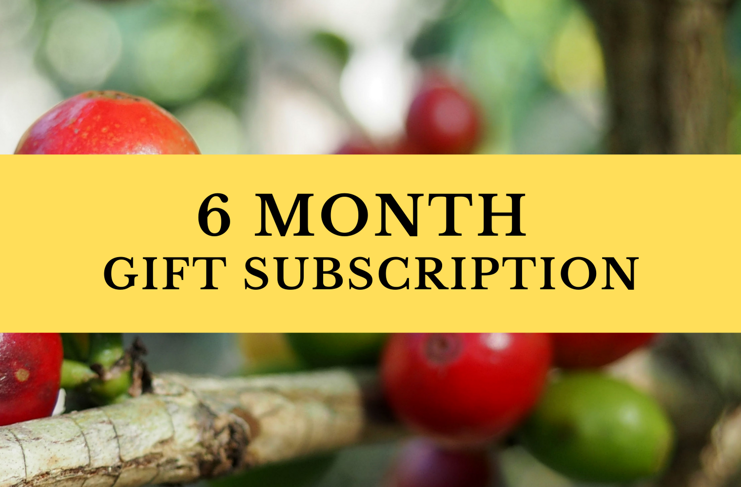 6 Month Coffee Gift Subscription