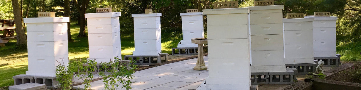 Mostar Honey Company