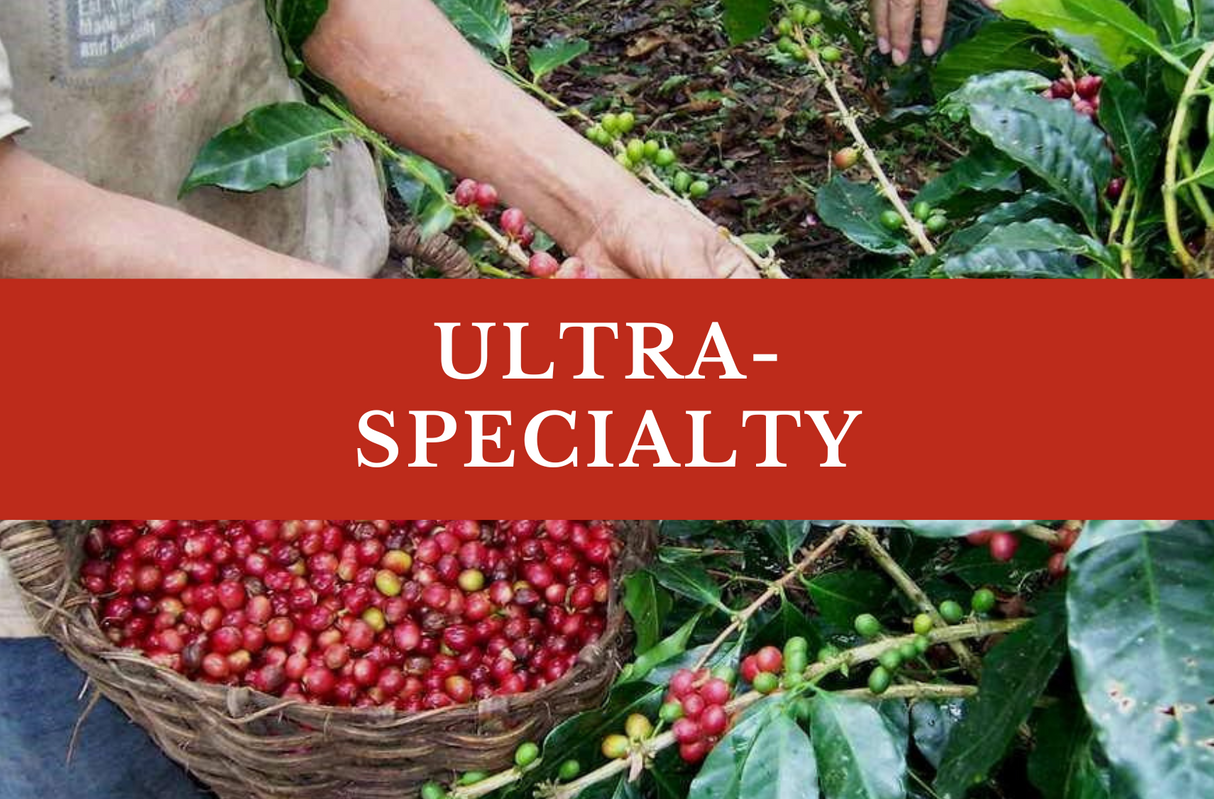 3 Month Ultra-Specialty Coffee Gift Subscription