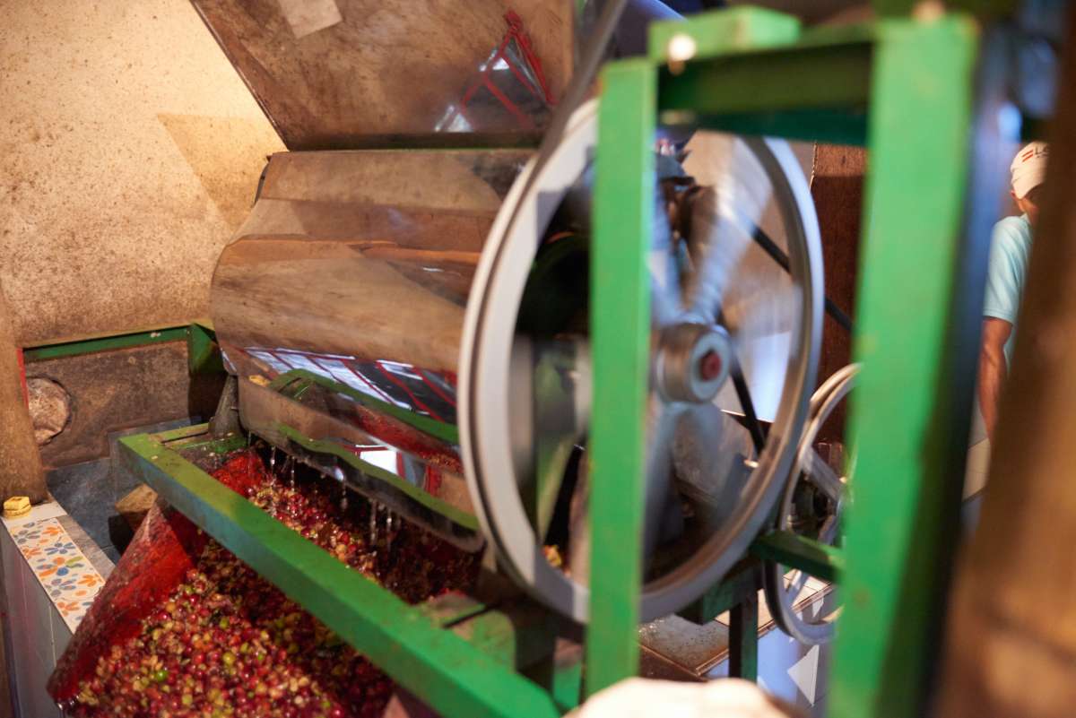 Colombia - El Tambo Women's Coop Roasted Coffee