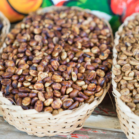 El Salvador - Finca Los Angeles - Black Honey Process Roasted Coffee