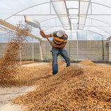 Ethiopia Guji - Honey Process - Kayon Mountain Roasted Coffee