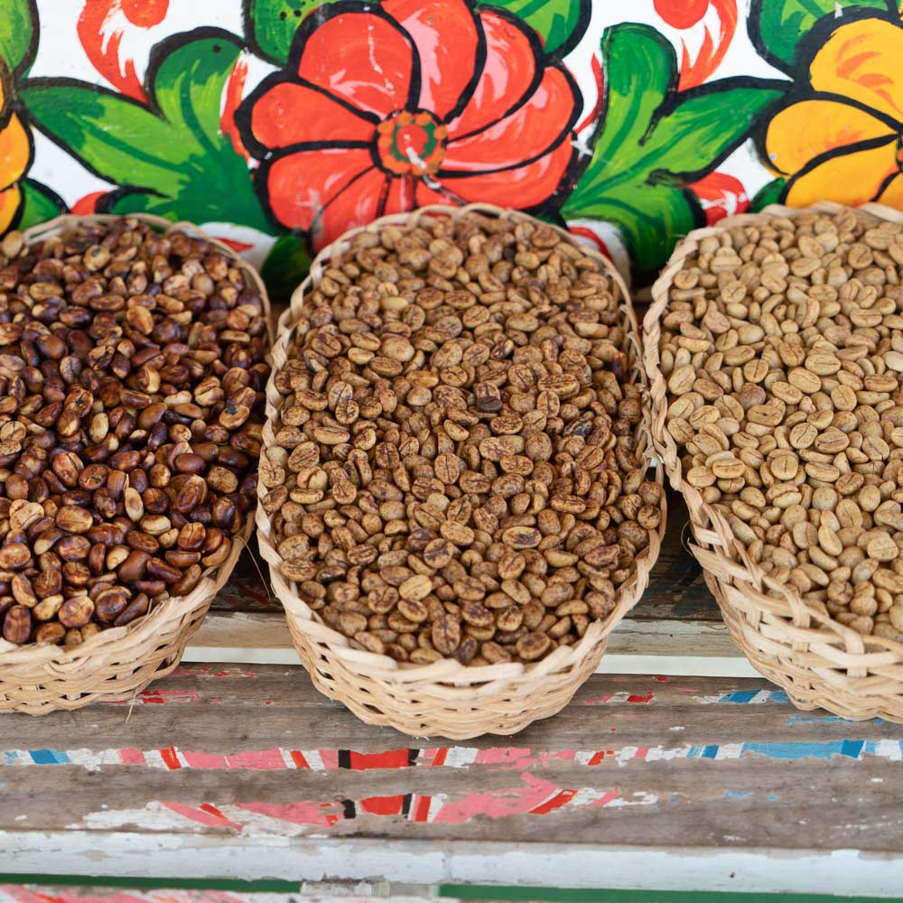 Ethiopia Guji - Honey Process - Kayon Mountain Roasted Coffee