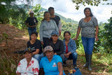 Colombia Specialty Coffee – El Tambo Women's Cooperative | Light Medium Roast | Double Fermented
