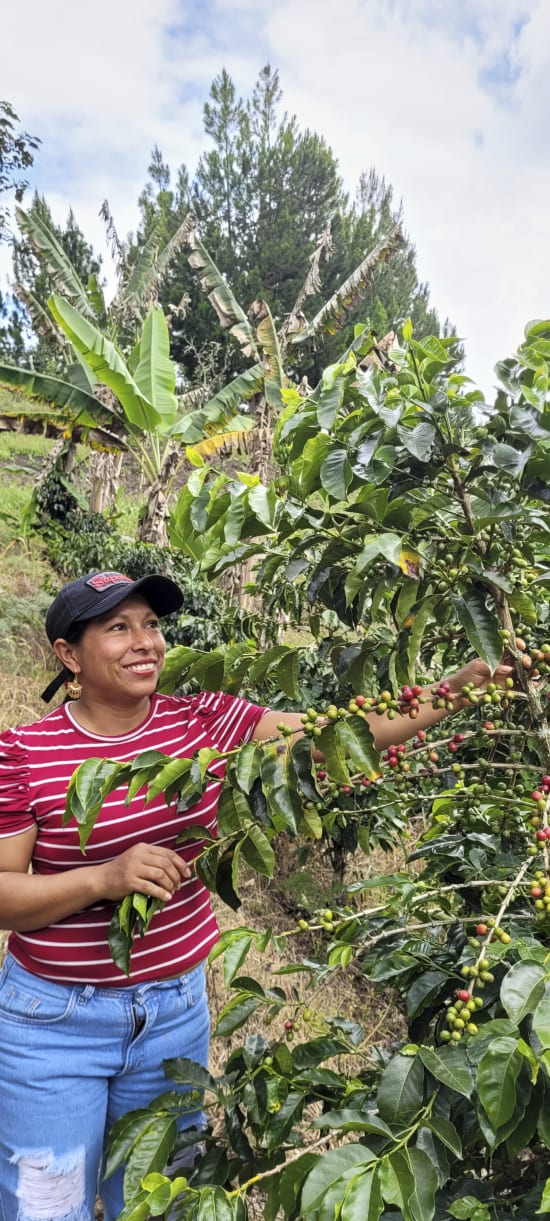 Colombia Specialty Coffee – El Tambo Women's Cooperative | Light Medium Roast | Double Fermented