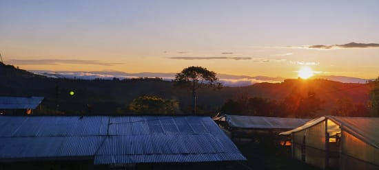 Colombia Specialty Coffee – El Tambo Women's Cooperative | Light Medium Roast | Double Fermented