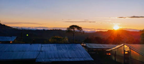 Colombia Specialty Coffee – El Tambo Women's Cooperative | Light Medium Roast | Double Fermented