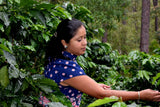 Honduras Marcala Natural Coffee – La Paz – Medium/Dark Roast