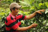 Honduras Marcala Natural Coffee – La Paz – Medium/Dark Roast