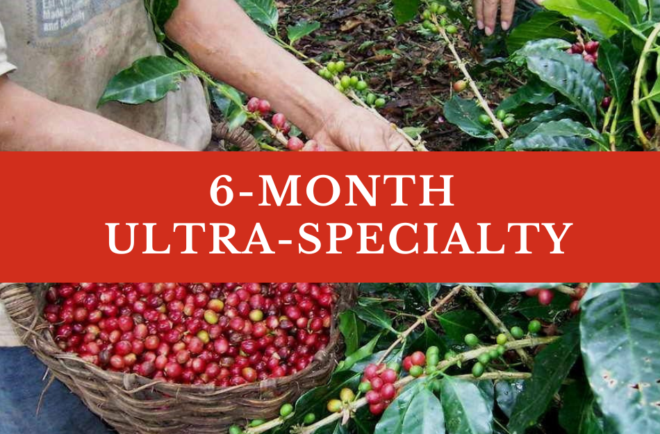 6 Month Ultra-Specialty Coffee Gift Subscription