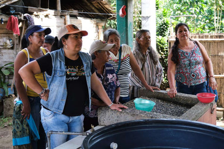 Colombia Specialty Coffee – El Tambo Women's Cooperative | Light Medium Roast